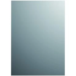 Plieger Spiegel Zilver 120x30 Cm