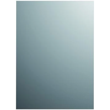 Plieger Spiegel Zilver 120x30 Cm 1 Plieger Spiegel Zilver 120x30 Cm