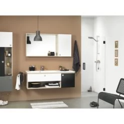 Sealskin Swingdeur Voor Nis I AM 100x200 Cm Zwart