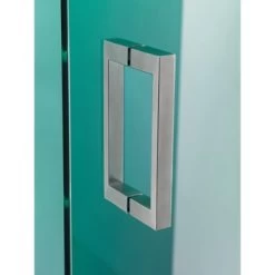 Sealskin Swingdeur Voor Nis I AM 70x200 Cm RVS -Badkamer Winkel 123 4554