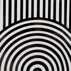 Sealskin Douchegordijn Brave 180x200cm Zwart/wit -Badkamer Winkel 123 5642