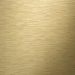 TIGER WC-BORSTELHOUDER TUNE VRIJSTAAND MESSING ZWART -Badkamer Winkel 123 6442