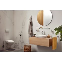 Haceka Toiletborstelhouder Aspen Hangend Chroom -Badkamer Winkel 123 6864