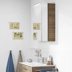 TIGER S-line Spiegelkast 60cm Chalet Eiken 12 TIGER S-line Spiegelkast 60cm Chalet Eiken -Badkamer Winkel 123 724