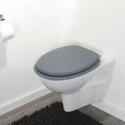 Tiger WC Bril Reno Grijs -Badkamer Winkel 123 7637