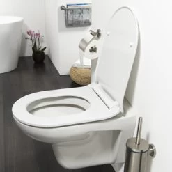 Tiger WC Bril Carter Wit Met Softclose -Badkamer Winkel 123 7650