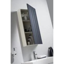 Haceka Mix&match Kastdeur Antraciet 80x40 Cm -Badkamer Winkel 123 7809