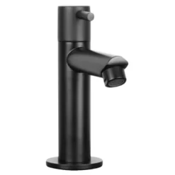 Differnz Fonteinkraan Recht Mat Zwart -Badkamer Winkel 123 9020