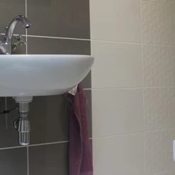 Wandtegel Iris Hoogglans Wit 25x40 Cm 1,4 M² -Badkamer Winkel 123 9168