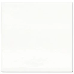 Wandtegel Dokkums Oud Wit 13x13 Cm 0,51 M²